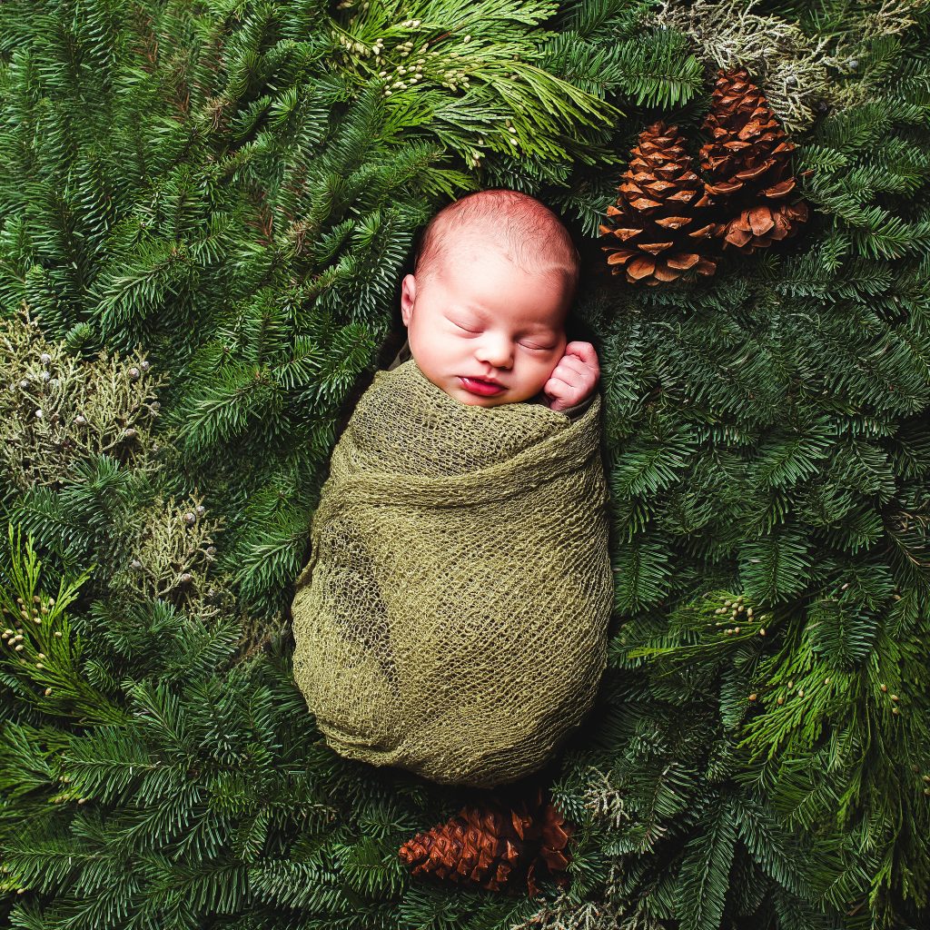 newborn baby on rustic evergreen backdrop.Everything You Need to Know About Newborn Photography