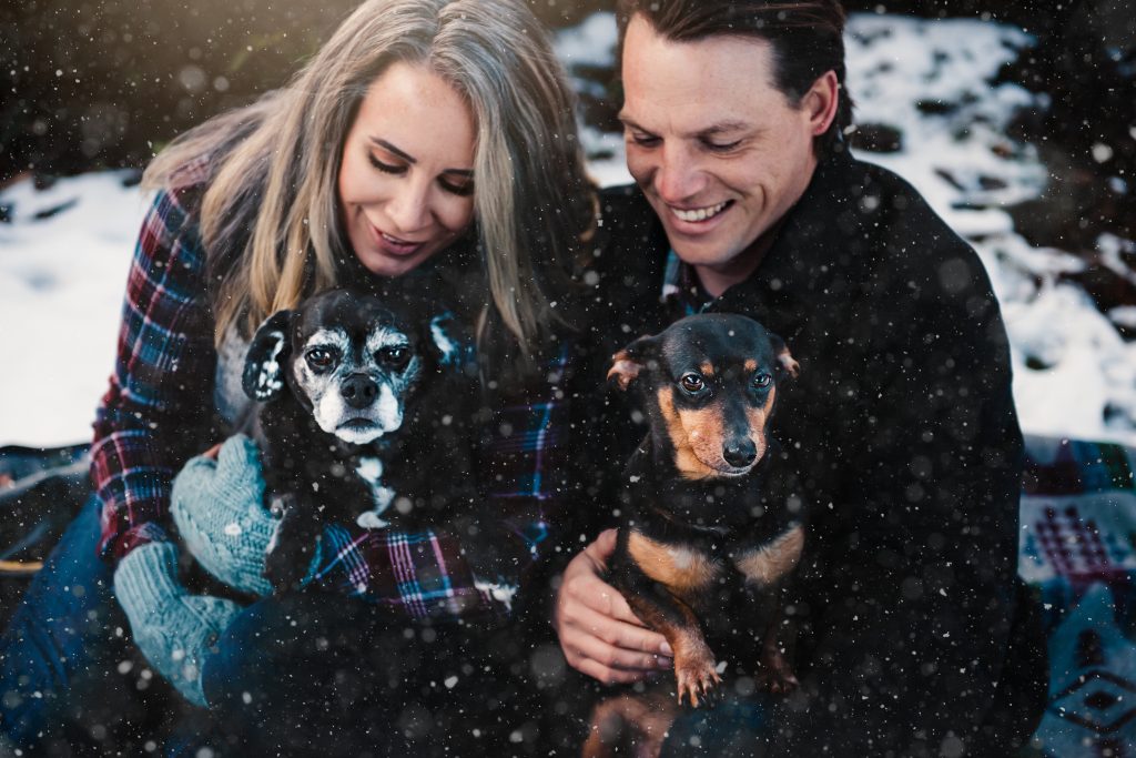 Winter couples portraits of a man and woman with their dogs in the snow