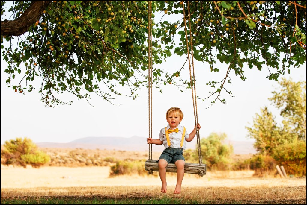 Little blonde boy in white shirt and yellow bow tie swings from a tree in a field in Washington. Ellensburg Family Photographer.