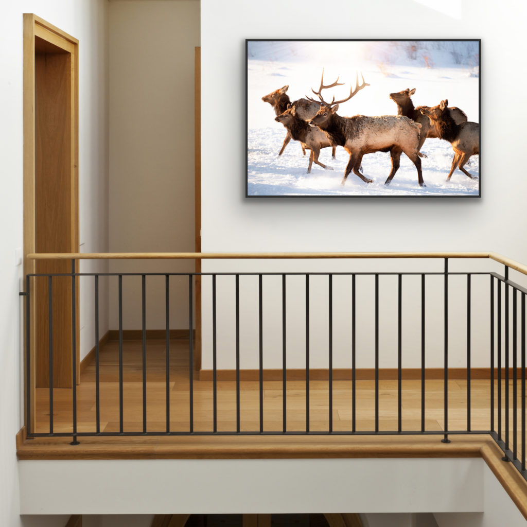 A framed photograph hangs in the landing of a stairway. A heard of elk traverse across snowy ground.